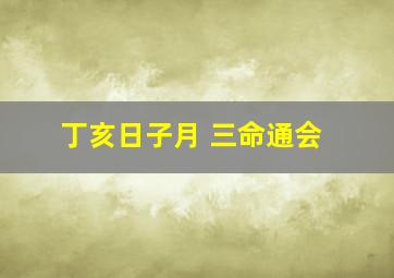 丁亥日子月 三命通会